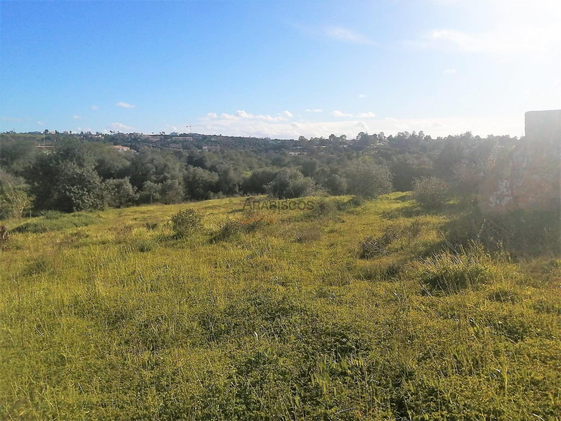 Terreno - Projecto Aprovado - Turismo Rural - Estombar - Lagoa