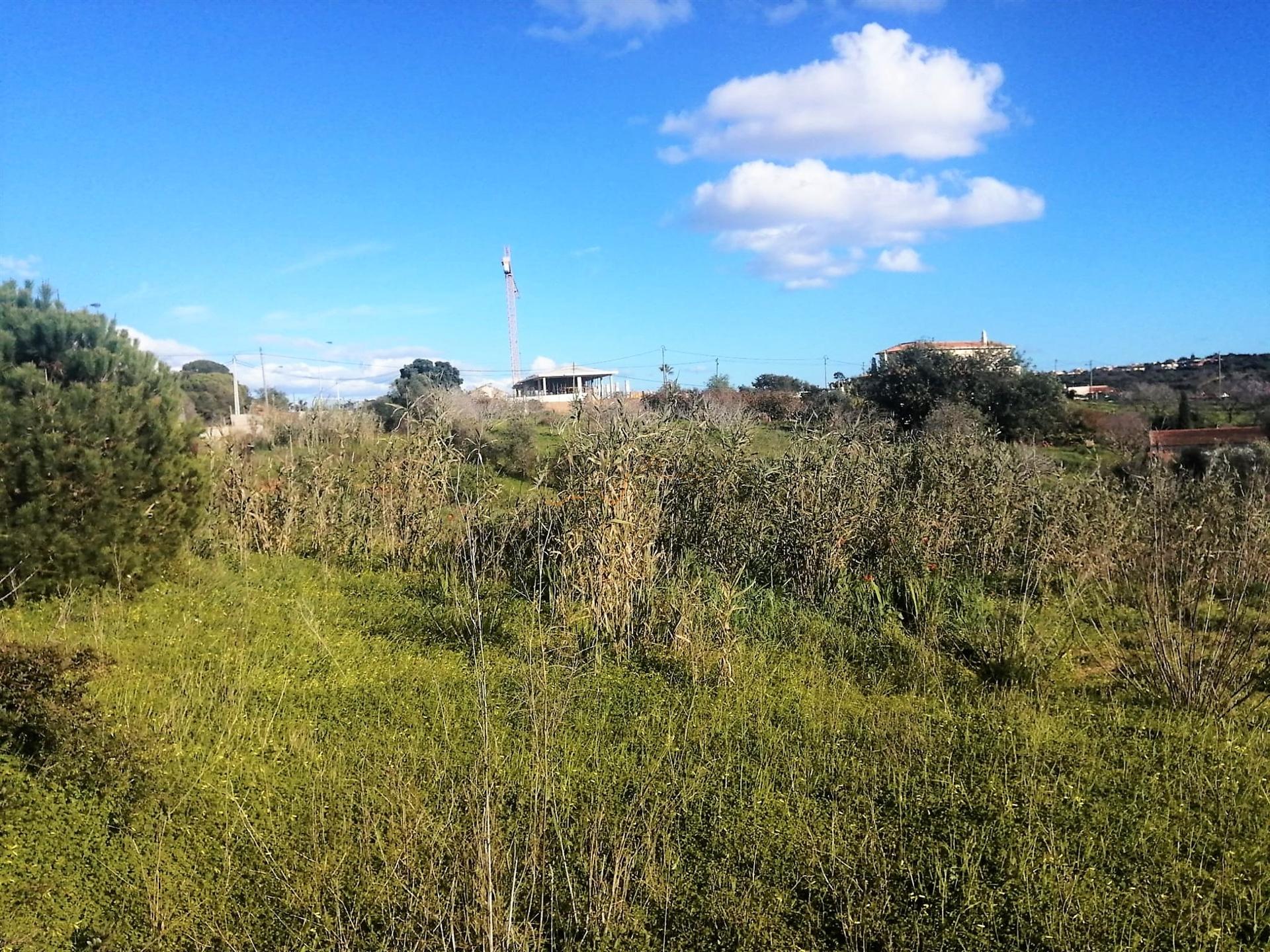 Terreno - Projecto Aprovado - Turismo Rural - Estombar - Lagoa