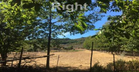 Parque de campismo com 13 hectares em Armamar