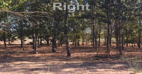 Parque de campismo com 13 hectares em Armamar