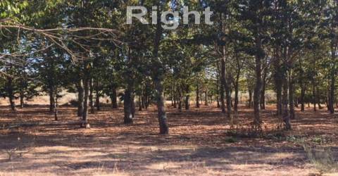 Parque de campismo com 13 hectares em Armamar