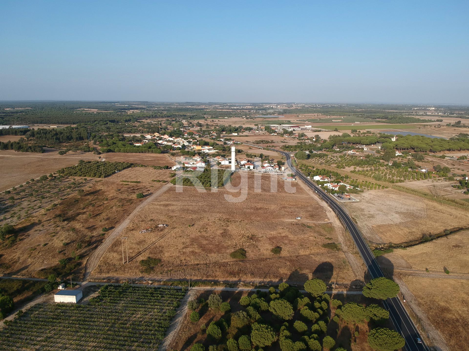 Lote de terreno em Pegões