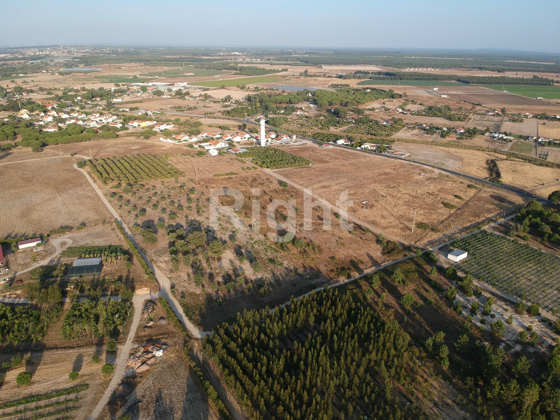 Lote de terreno em Pegões