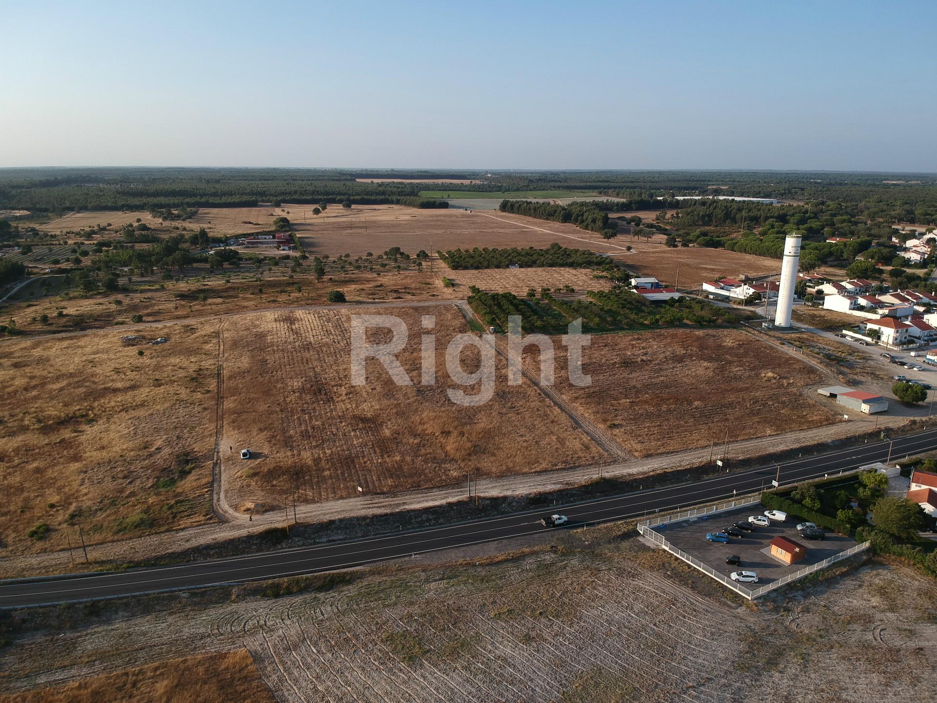 Lote de terreno em Pegões