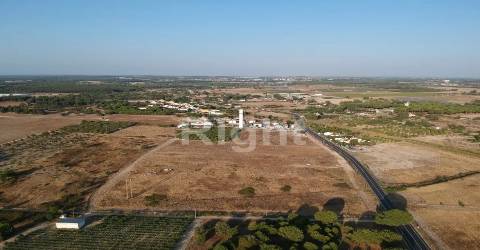 Lote de terreno em Pegões