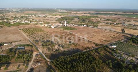 Lote de terreno em Pegões