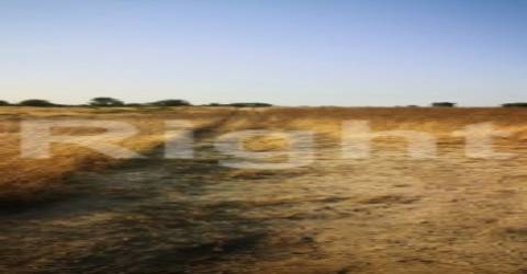 Lote de terreno em Pegões