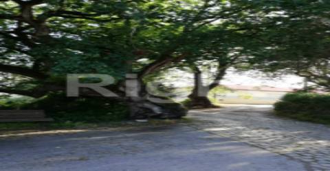 Lote de terreno com 1480m2 em Valado dos Frades/Nazaré