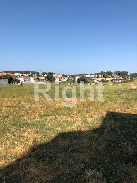 2 lotes de terreno rústicos em Leiria