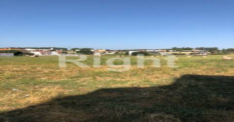 2 lotes de terreno rústicos em Leiria