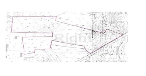 2 lotes de terreno rústicos em Leiria