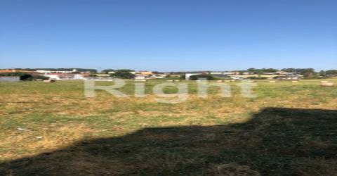 2 lotes de terreno rústicos em Leiria