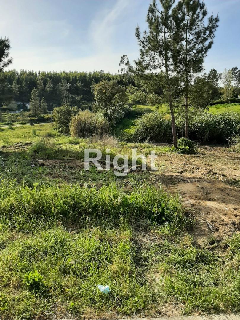 Terreno na zona das Fontainhas em Santarém