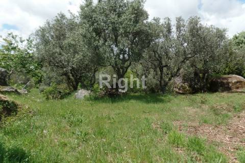 Casa serrana de pedra na Aldeia de Casal Vasco