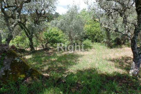 Casa serrana de pedra na Aldeia de Casal Vasco