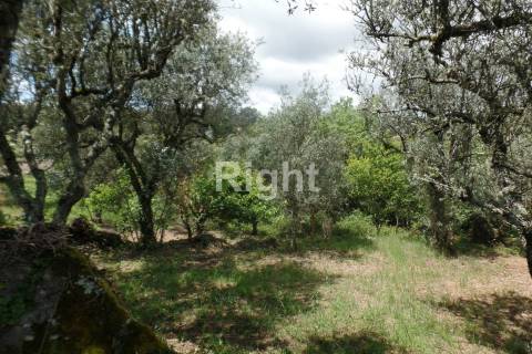 Casa serrana de pedra na Aldeia de Casal Vasco