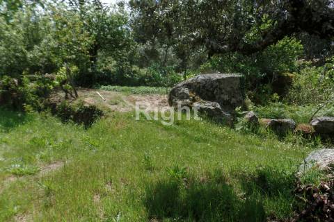 Casa serrana de pedra na Aldeia de Casal Vasco