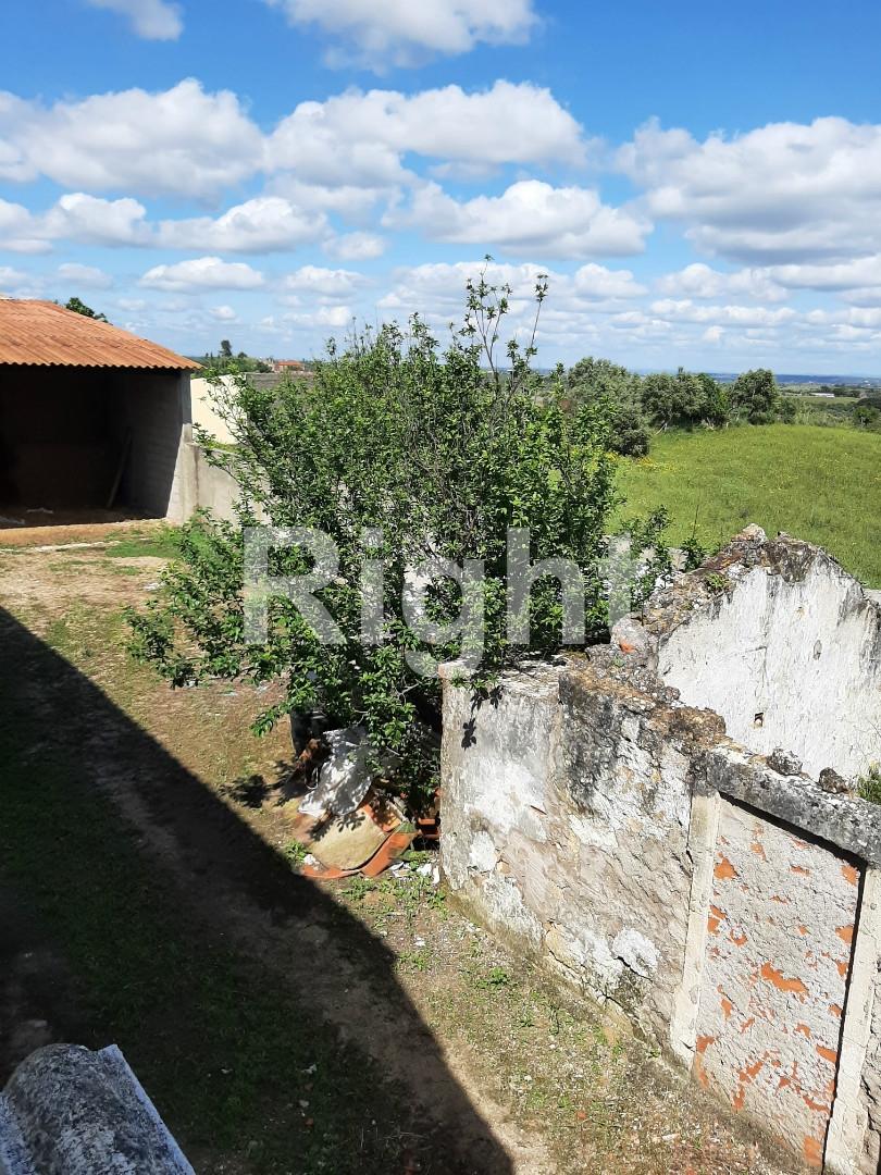 Moradia T3 com magnífico terreno em Santarém