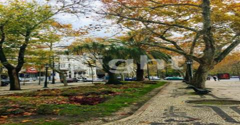 Apartamento T1 com varanda no emblemático edifico