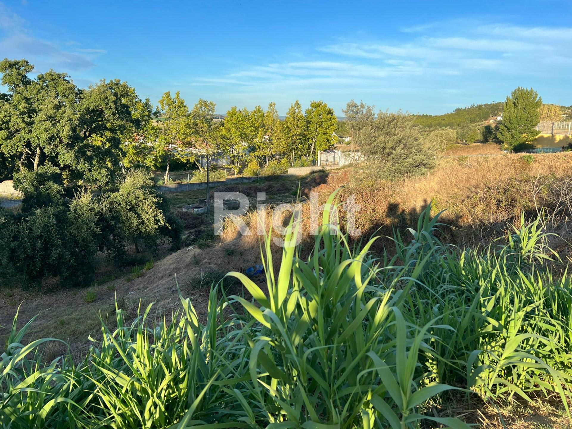 Terreno com 306m2 em Santarém