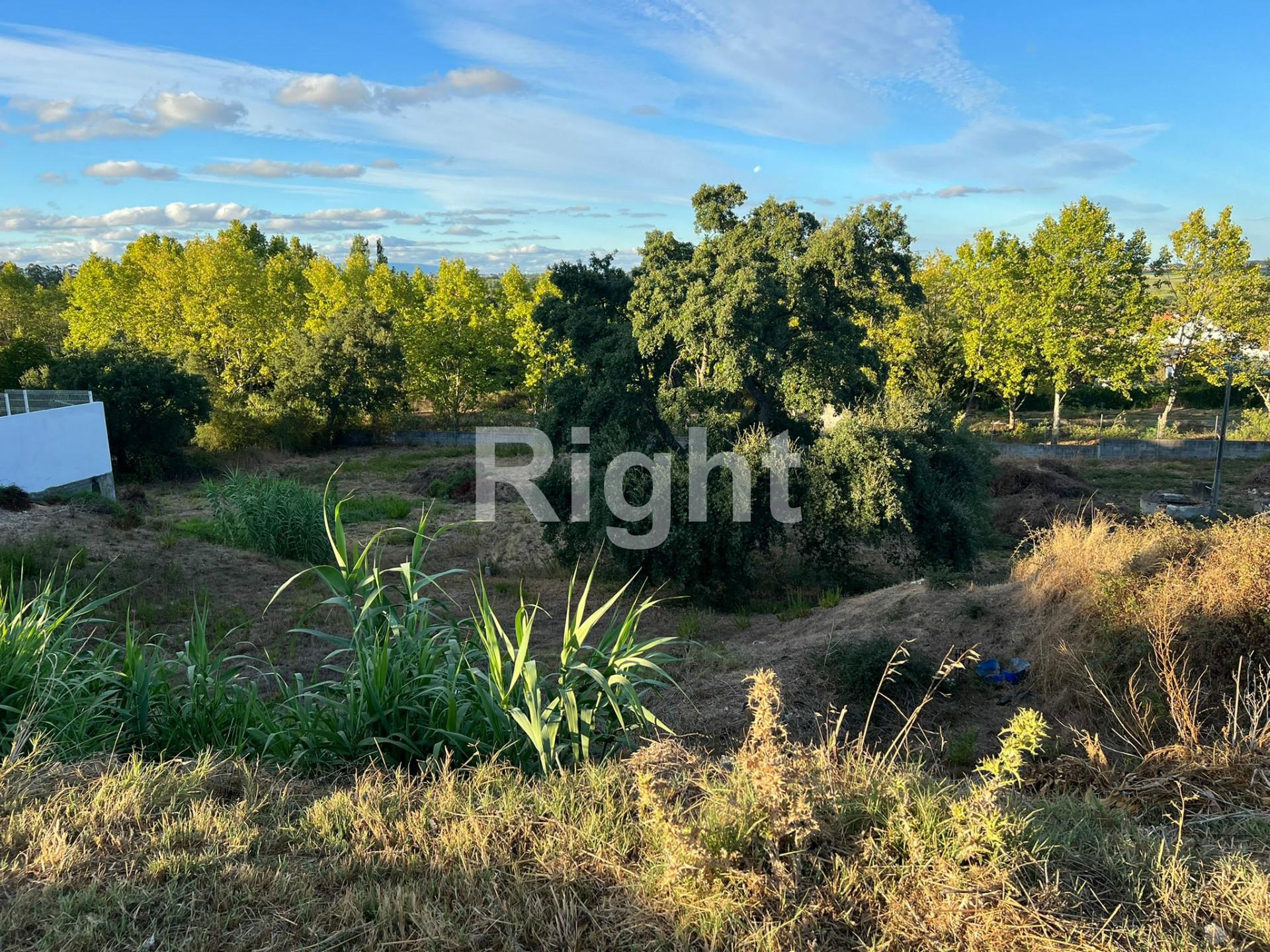 Terreno com 306m2 em Santarém