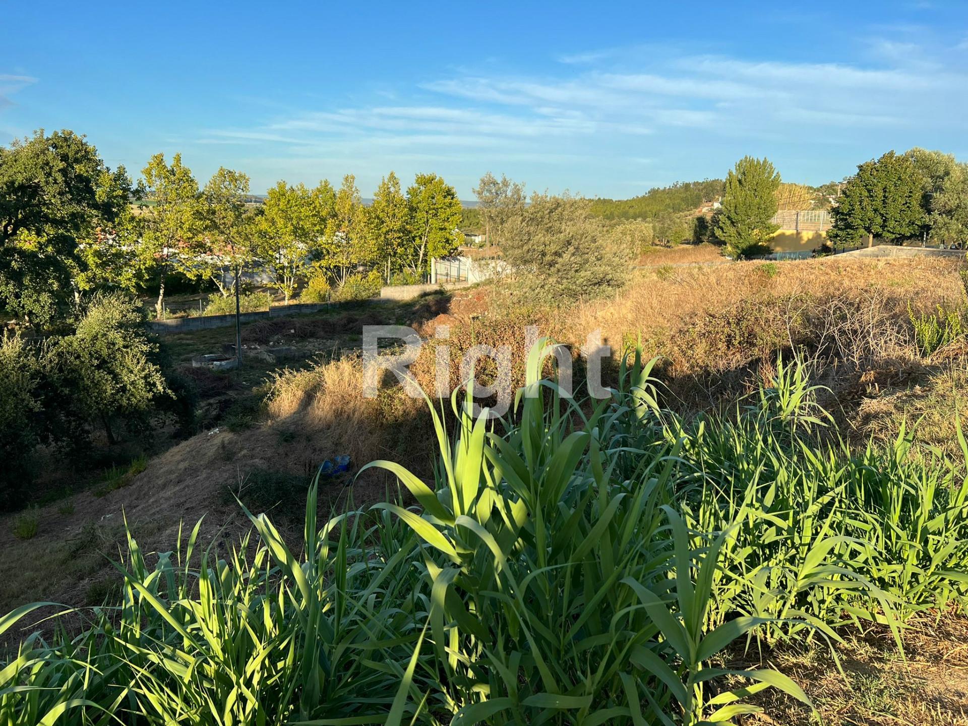 Terreno com 306m2 em Santarém