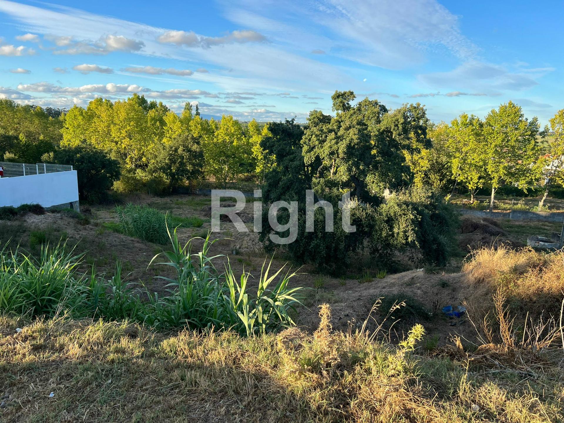 Terreno com 306m2 em Santarém