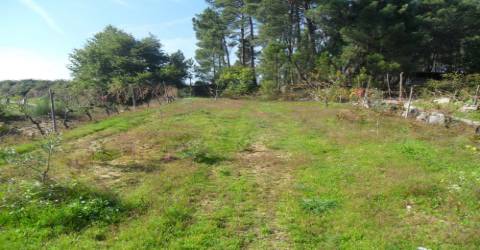 Terreno  Venda em São João de Lourosa,Viseu