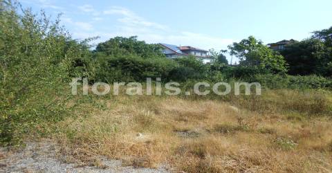 Lote de Terreno  Venda em Viseu,Viseu