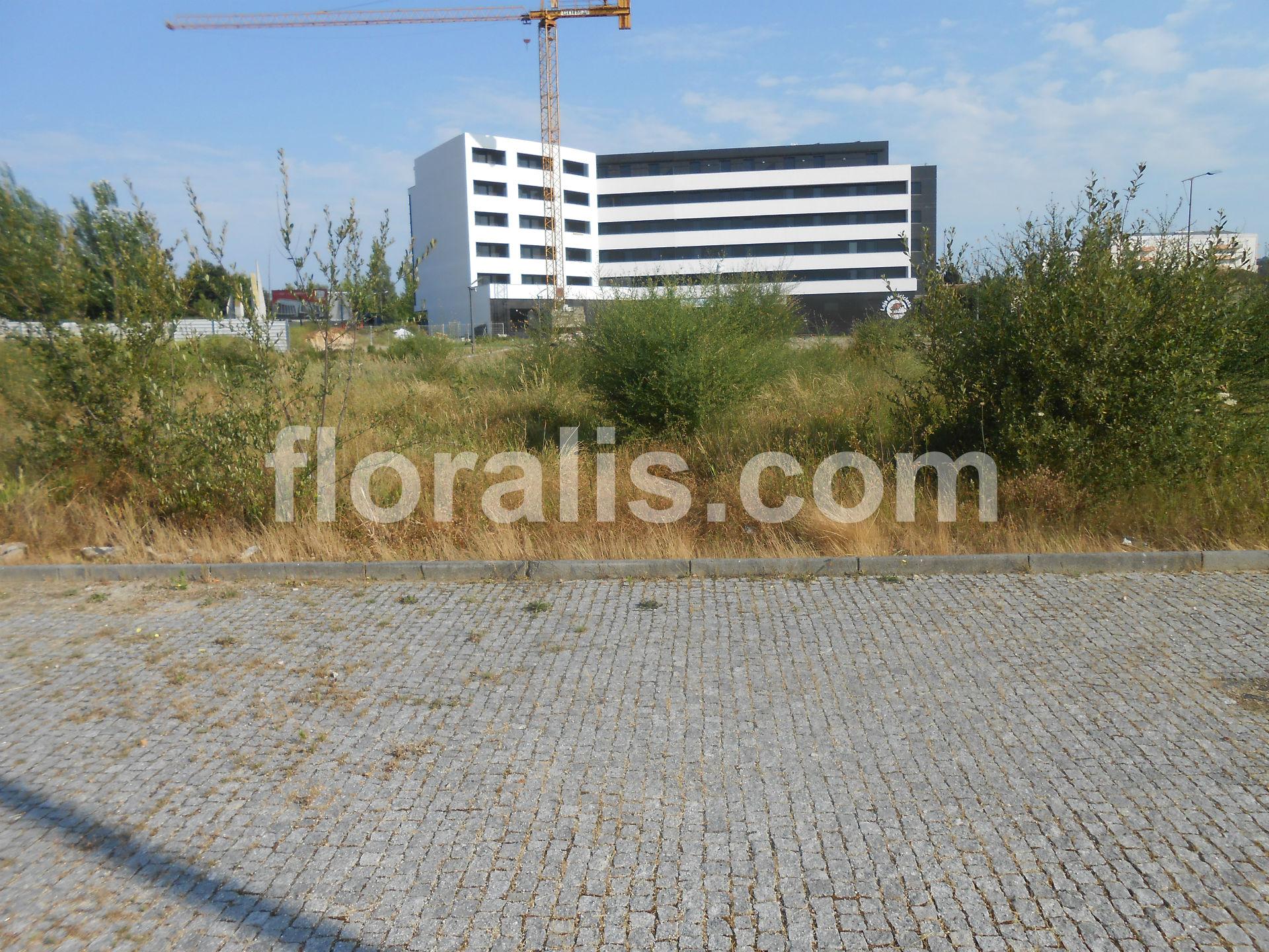 Lote de Terreno  Venda em Viseu,Viseu