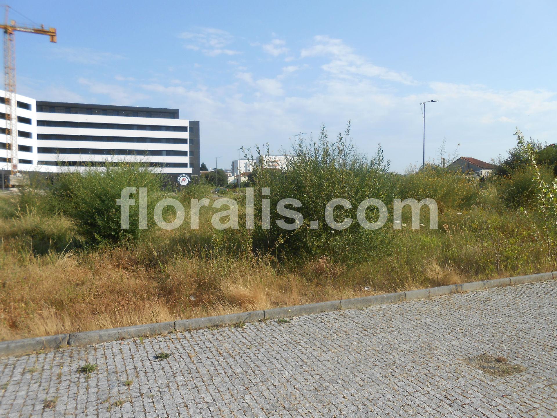 Lote de Terreno  Venda em Viseu,Viseu