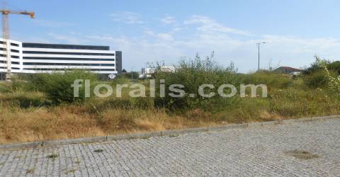 Lote de Terreno  Venda em Viseu,Viseu