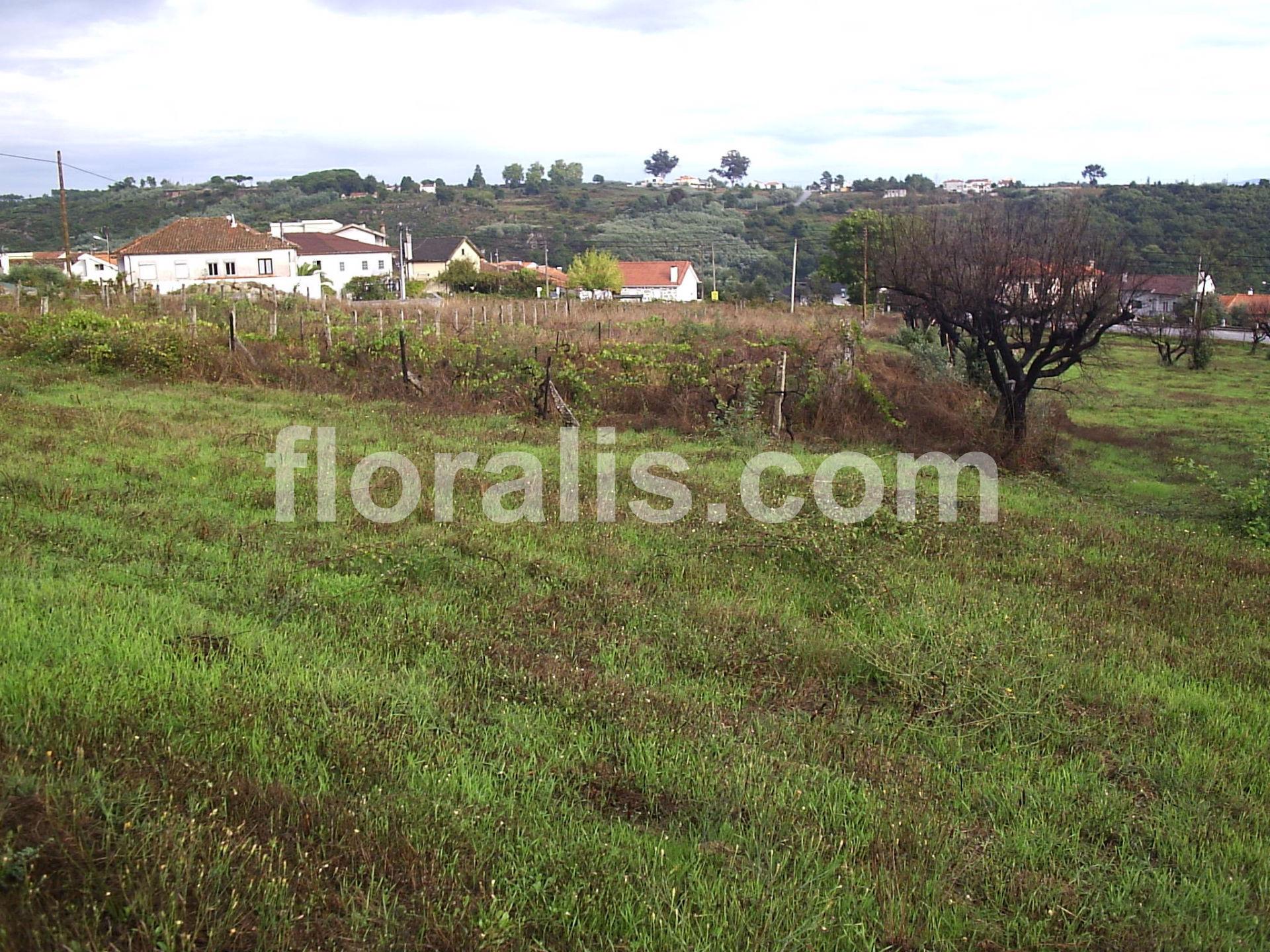 Terreno  Venda em Santos Evos,Viseu