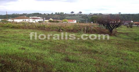 Terreno  Venda em Santos Evos,Viseu