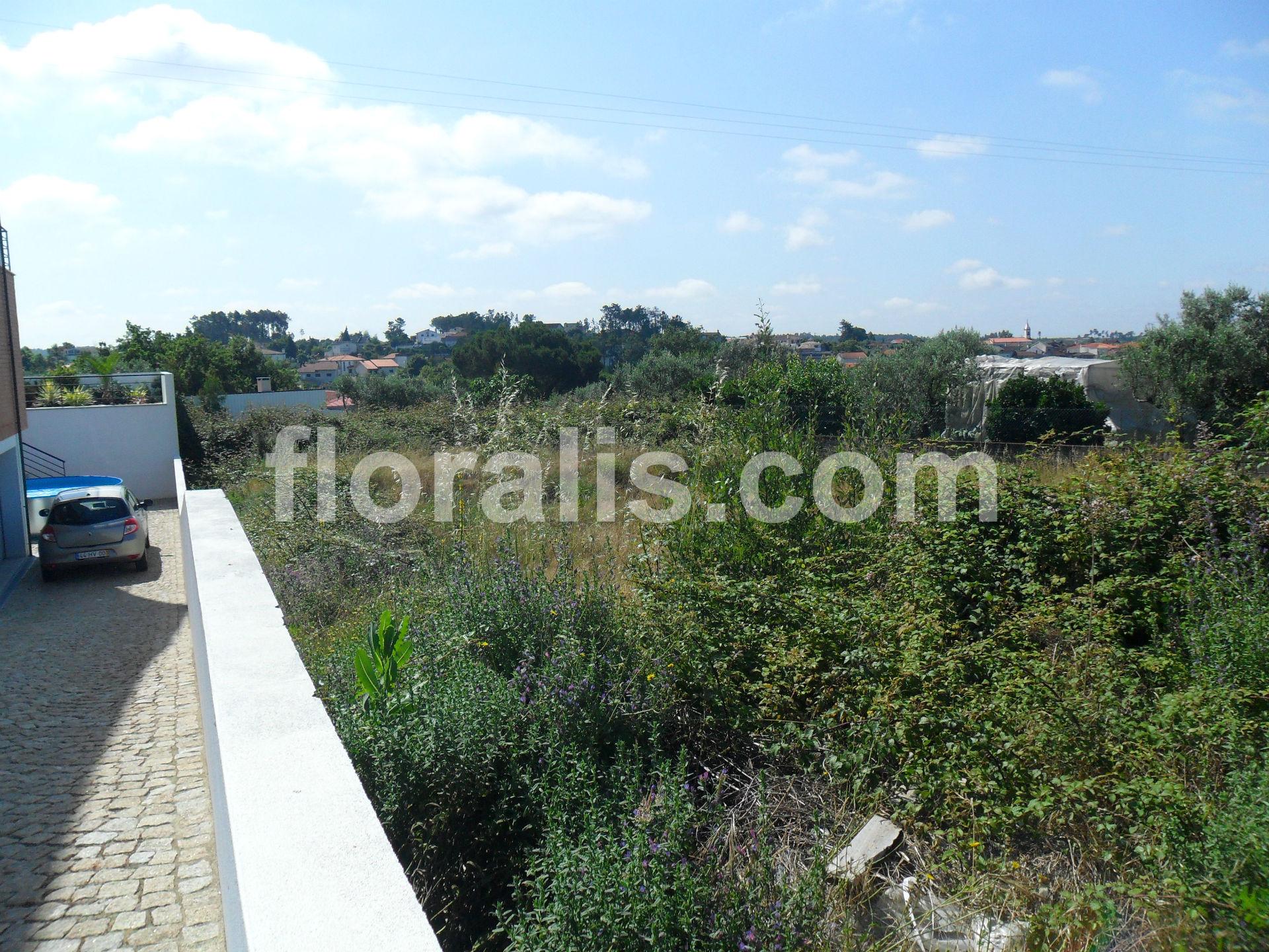 Terreno  Venda em Faíl e Vila Chã de Sá,Viseu