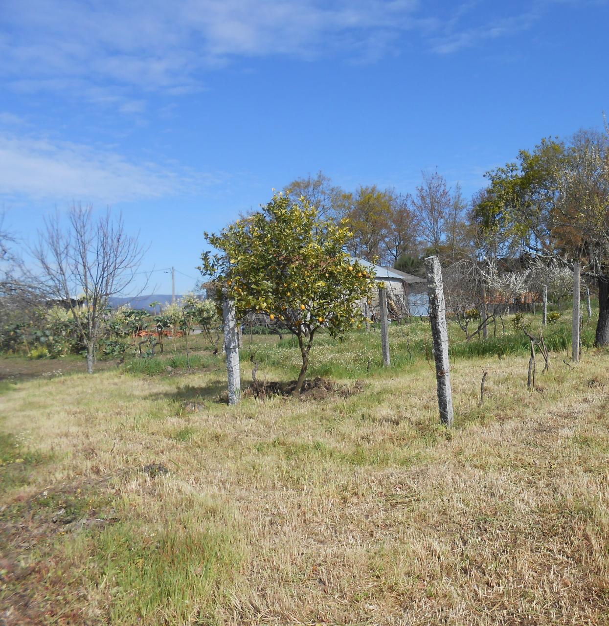 Terreno destinado a reserva agrícola.