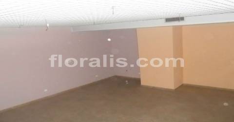 Loja  Venda em Viseu,Viseu