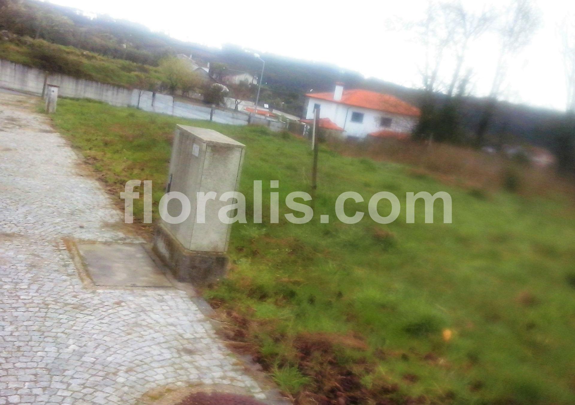 Lote de Terreno  Venda em Couto de Baixo e Couto de Cima,Viseu