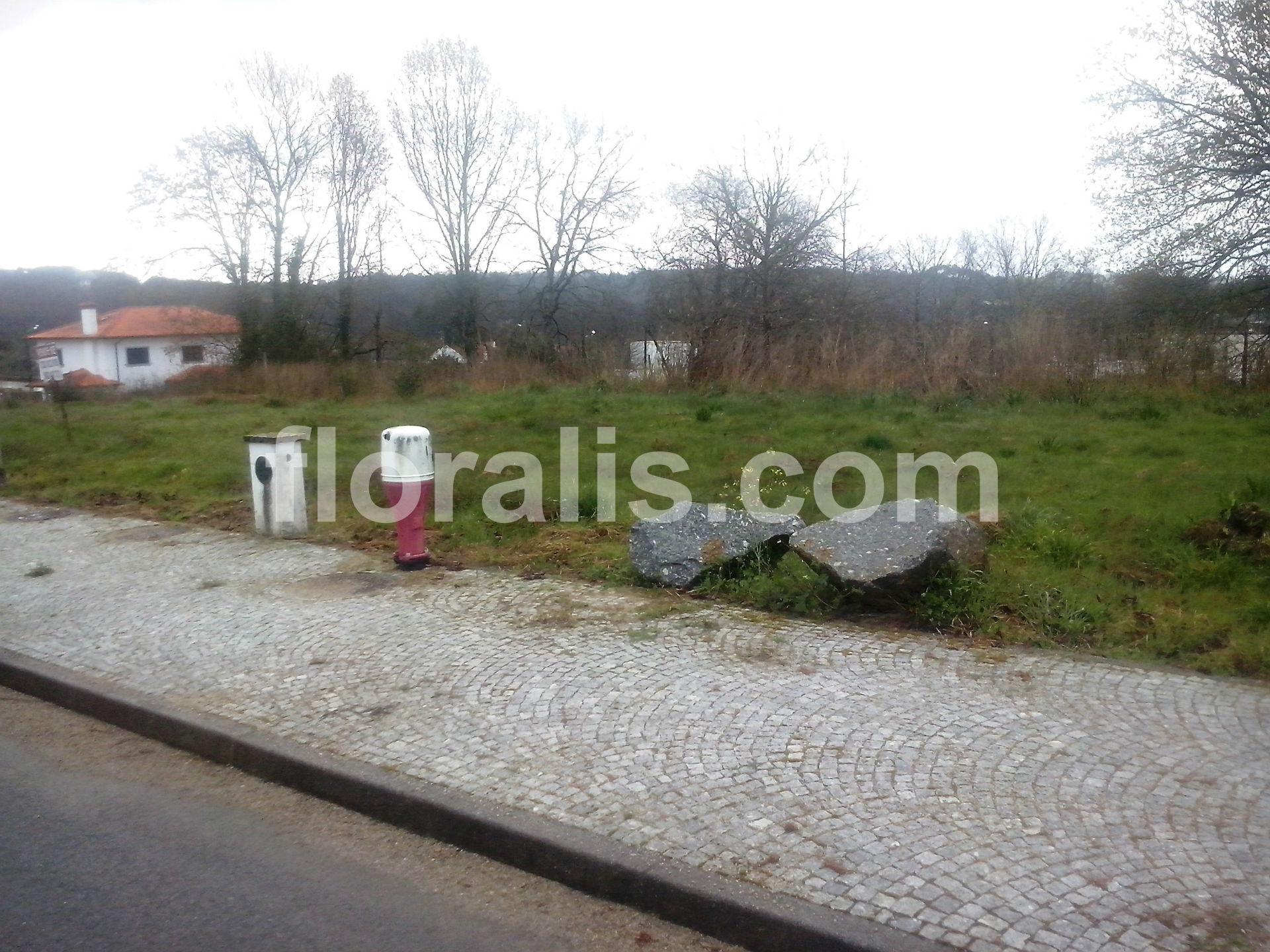 Lote de Terreno  Venda em Couto de Baixo e Couto de Cima,Viseu