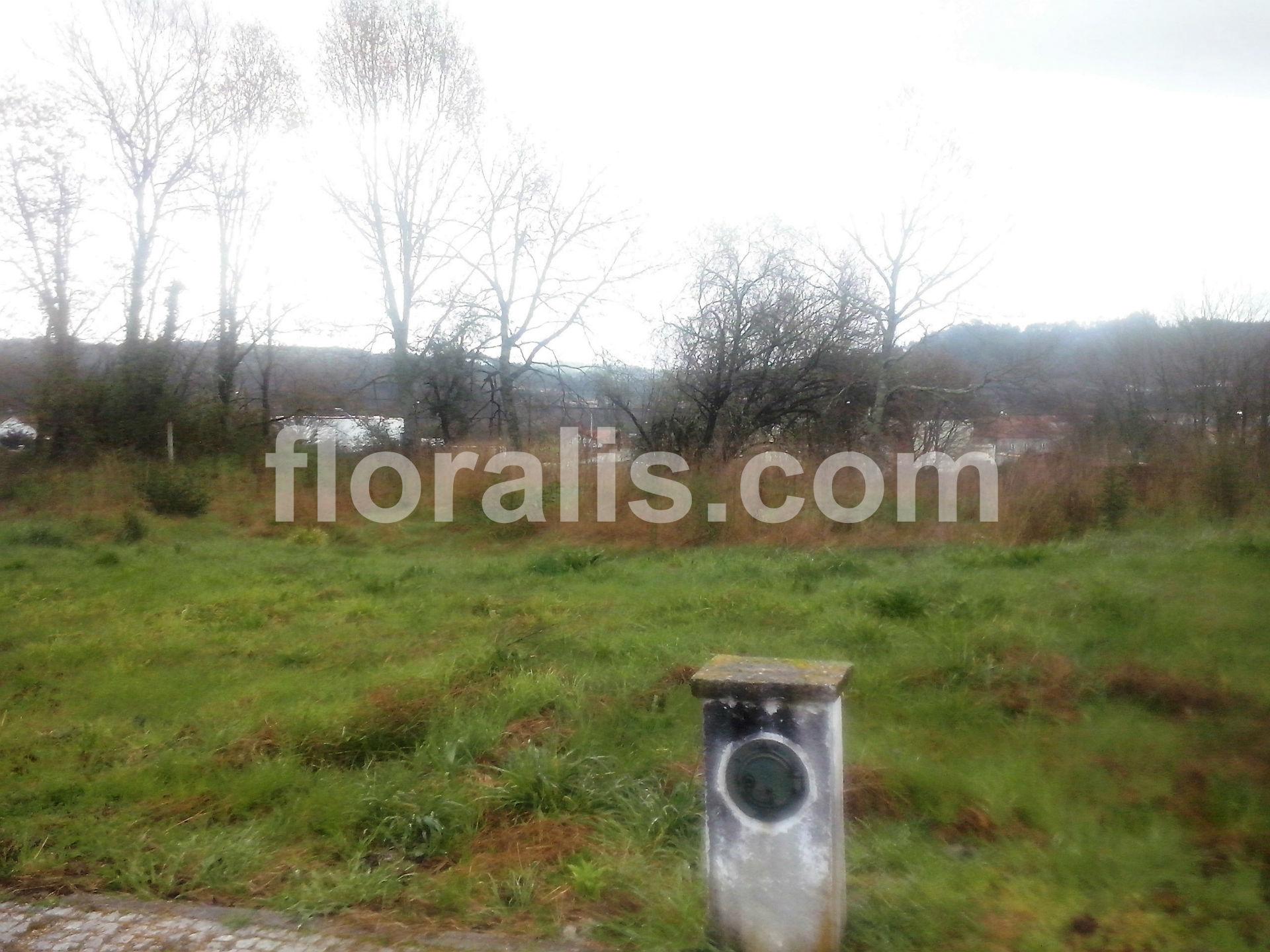 Lote de Terreno  Venda em Couto de Baixo e Couto de Cima,Viseu