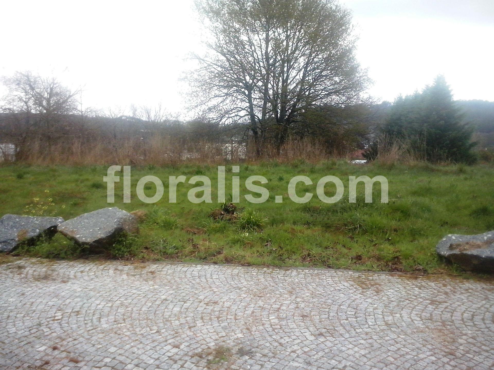 Lote de Terreno  Venda em Couto de Baixo e Couto de Cima,Viseu