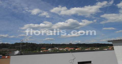 Moradia para Restaurar  Venda em Rio de Loba,Viseu