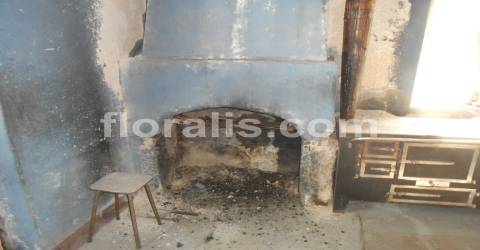 Moradia para Restaurar  Venda em Rio de Loba,Viseu