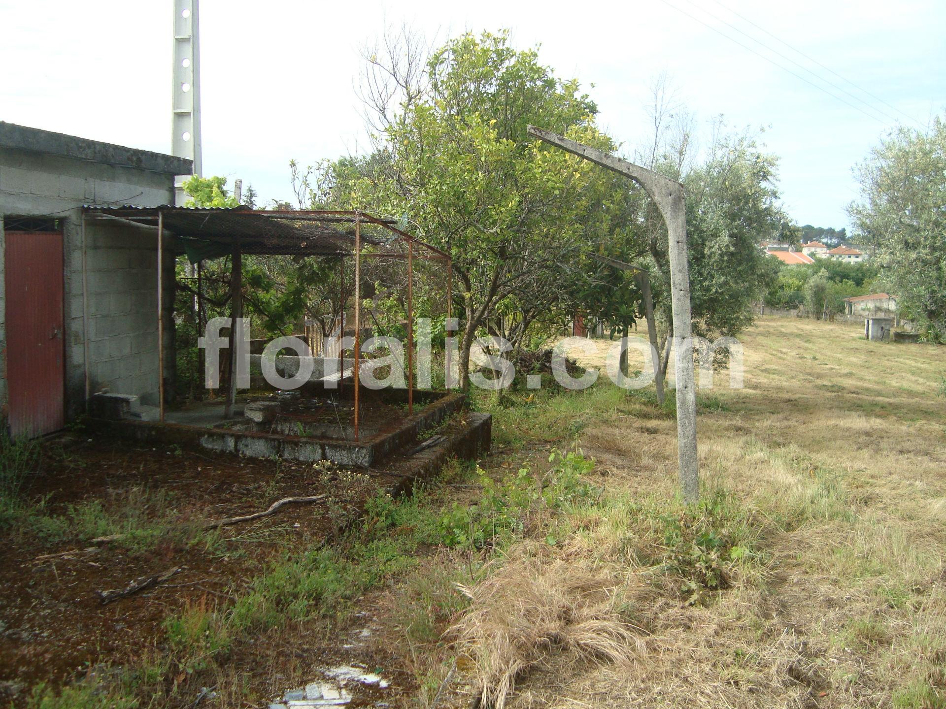 Terreno  Venda em Repeses e São Salvador,Viseu