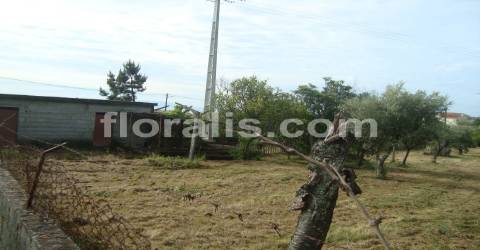 Terreno  Venda em Repeses e São Salvador,Viseu