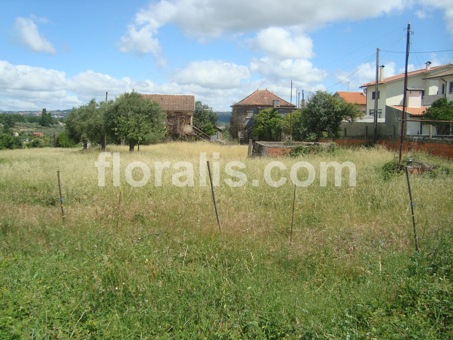 Loteamento  Venda em Rio de Loba,Viseu