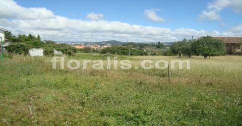 Loteamento  Venda em Rio de Loba,Viseu