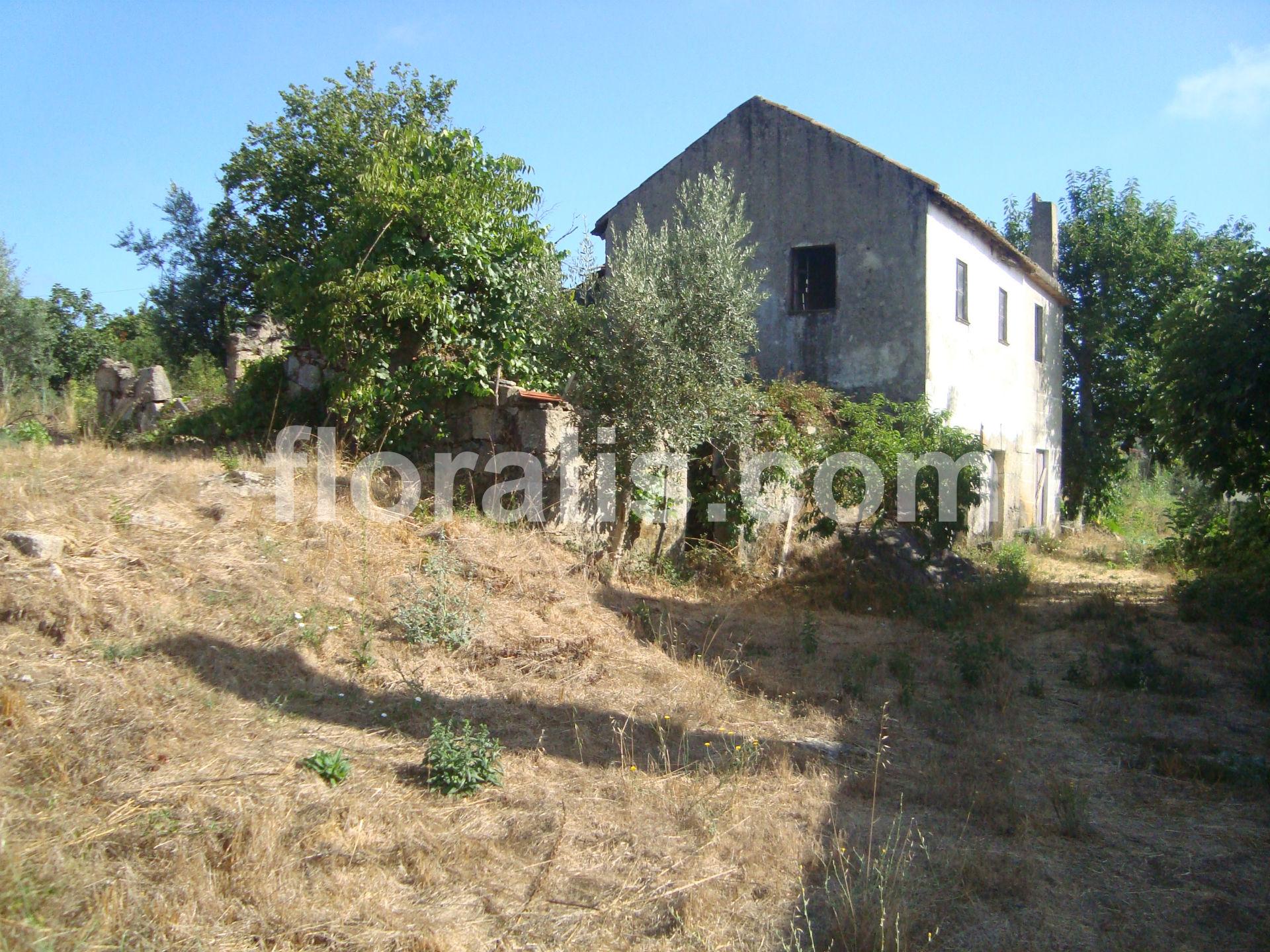 Terreno  Venda em Povolide,Viseu