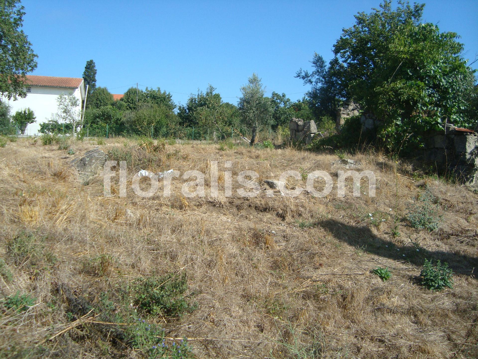 Terreno  Venda em Povolide,Viseu