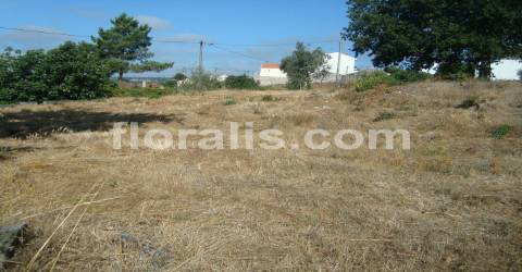 Terreno  Venda em Povolide,Viseu